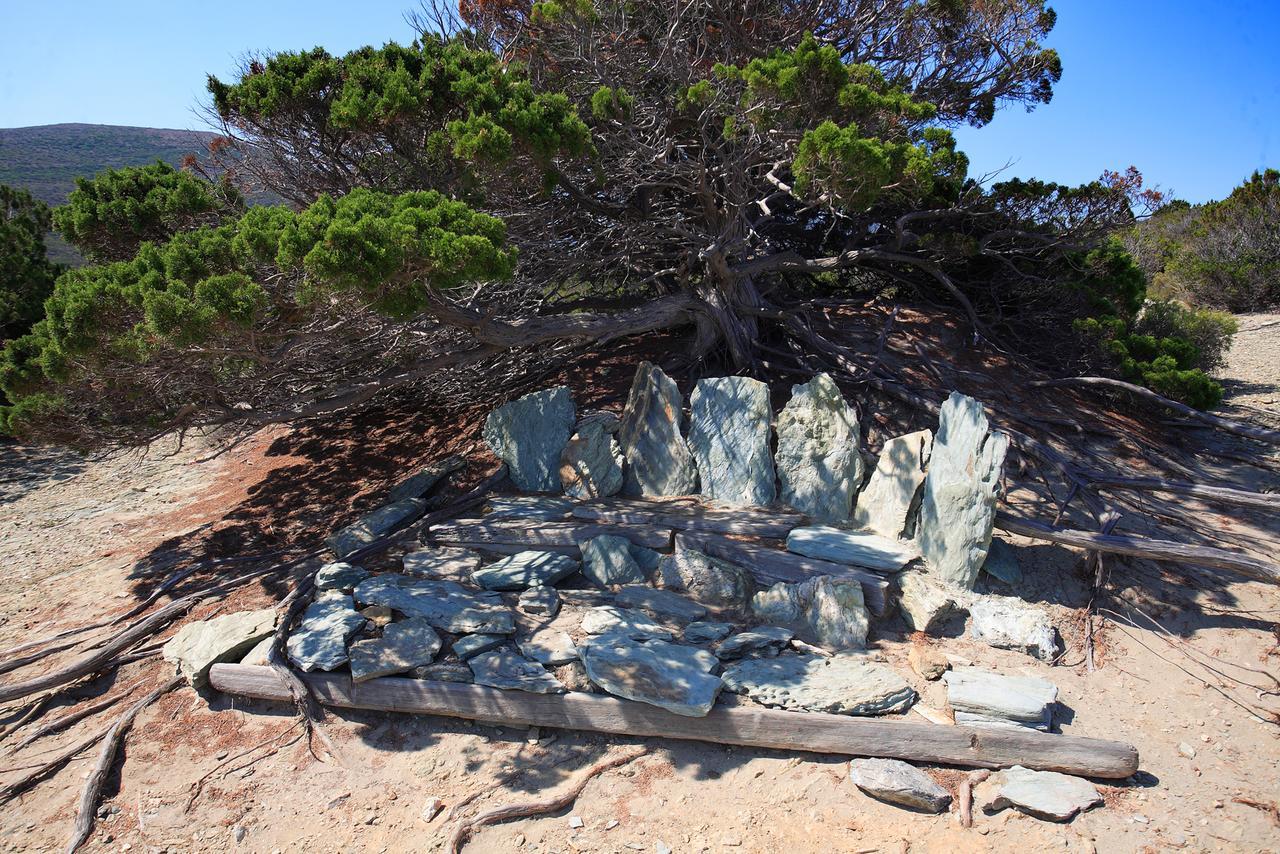 Latu Corsu - Cote Corse - Gites Et Chambres D'Hotes Au Cap Corse Ersa Esterno foto