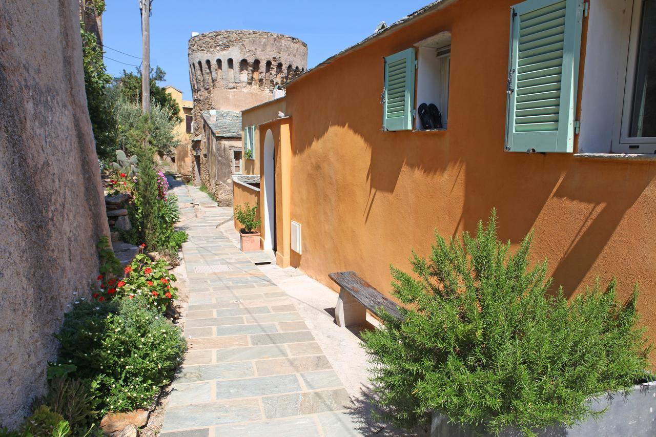 Latu Corsu - Cote Corse - Gites Et Chambres D'Hotes Au Cap Corse Ersa Esterno foto