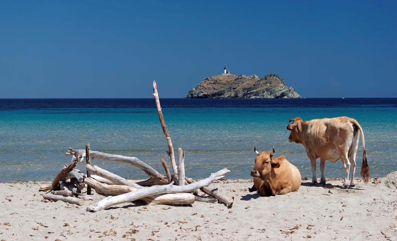 Latu Corsu - Cote Corse - Gites Et Chambres D'Hotes Au Cap Corse Ersa Esterno foto