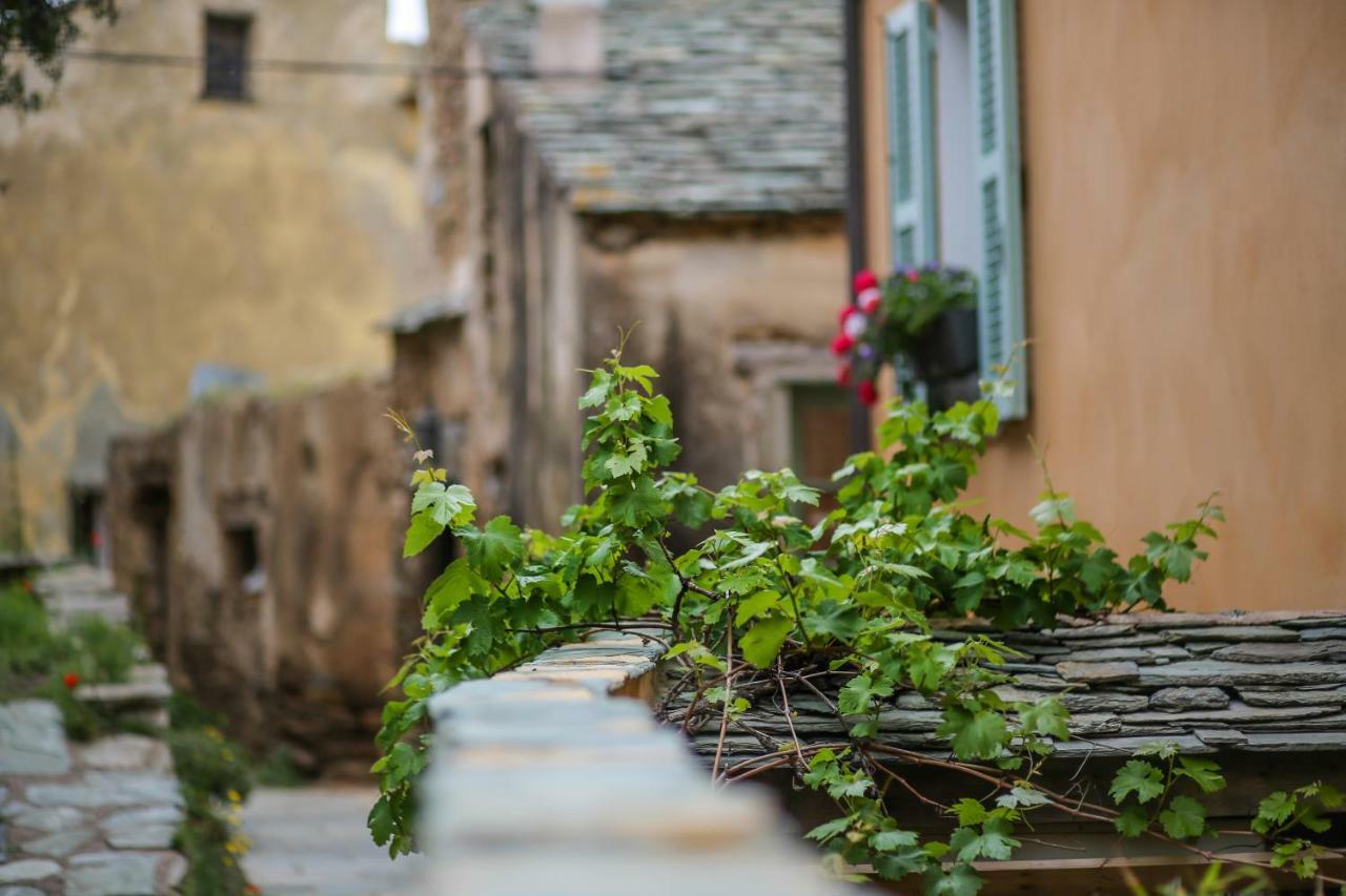 Latu Corsu - Cote Corse - Gites Et Chambres D'Hotes Au Cap Corse Ersa Esterno foto